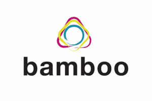 Bamboo AVM